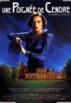 Affiche miniature du film Une poignée de cendre