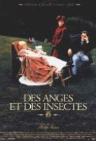 Affiche miniature du film Des anges et des insectes