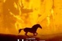 Affiche du film L'homme qui murmurait à l'oreille des chevaux