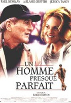 Affiche miniature du film Un Homme presque parfait