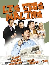 Affiche du film Les gros malins
