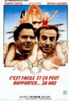 Affiche miniature du film C'est facile et ça peut rapporter... 20 ans