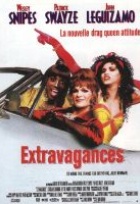 Affiche miniature du film Extravagances