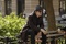 homme seul NY