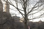 NY i love you film