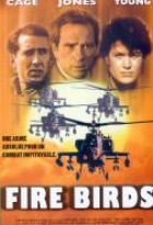 Affiche miniature du film Fire Birds