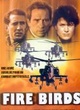 Affiche du film Fire Birds