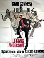 Affiche du film Le Gang Anderson