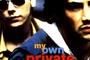 Affiche du film My own private Idaho