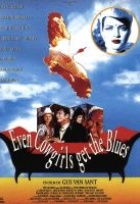 Affiche miniature du film Même les cowgirls ont du vague à l'âme