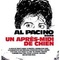 Affiche du film Un après-midi de chien - Un après-midi de chien 