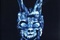 Affiche du film Donnie Darko