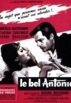 Affiche miniature du film Le Bel Antonio