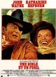 Affiche du film Une Bible et un fusil