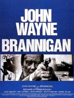 Affiche du film Brannigan