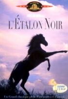 Affiche miniature du film L'Etalon noir