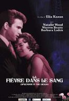 Affiche miniature du film La Fièvre dans le sang