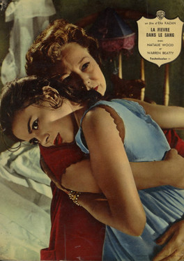 Film elia Kazan La Fi  vre dans le sang