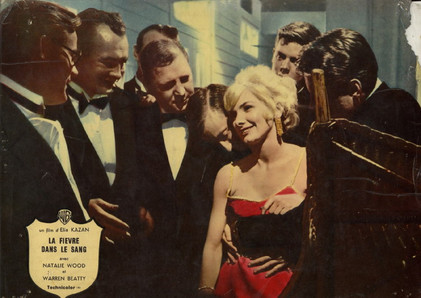 La fi  vre dans le sang d Elia Kazan