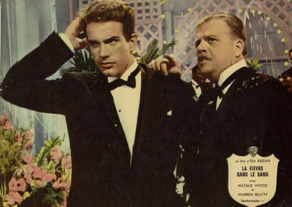 la fi  vre dans le sang Elia Kazan