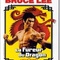Affiche du film La Fureur du Dragon - La Fureur du Dragon 