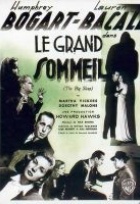 Affiche miniature du film Le Grand sommeil