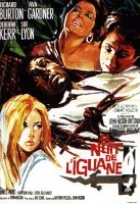 Affiche miniature du film La nuit de l'iguane