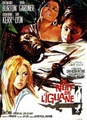 La nuit de l'iguane
