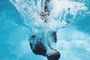 un plongeon