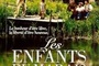 Affiche du film Les enfants du marais