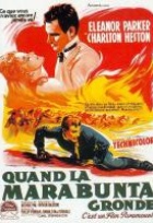 Affiche miniature du film Quand la Marabunta gronde