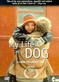 Ma Vie de chien