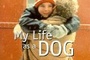 Affiche du film Ma Vie de chien