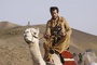guillaume canet sur un dromadaire
