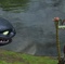 dragon et gar  on - Dragons 