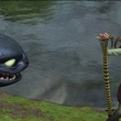 Dragons gar  on donne a manger