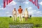 Affiche du film Hôtel Woodstock
