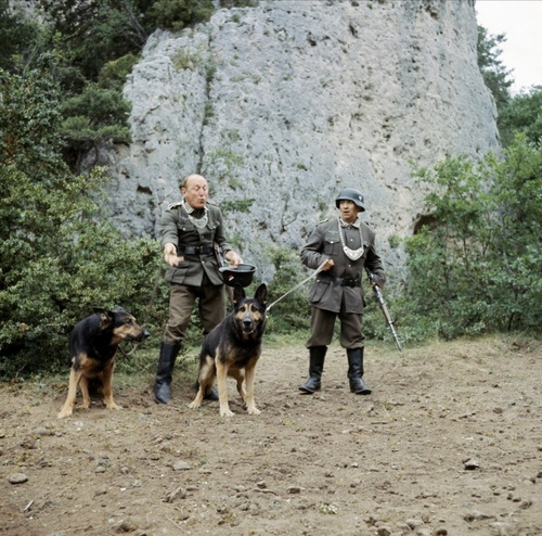 Bourvil et Louis de Funès avec les chiens
