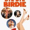 Affiche du film Bye Bye Birdie - Bye Bye Birdie 