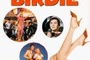 Affiche du film Bye Bye Birdie