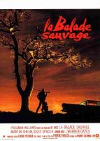 Affiche du film La Balade sauvage
