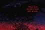 Affiche du film La Nuit des chauves-souris
