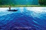 Affiche du film Beautiful country
