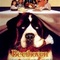 Affiche du film Beethoven - Beethoven 