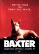 Affiche du film Baxter
