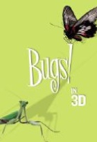 Affiche miniature du film Bugs !
