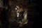 les sauveteurs dans the descent 2