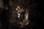 les sauveteurs dans the descent 2