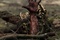photo 2 du film the descent part 2