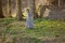 mia-wasikowska-en-jane-eyre-jpg